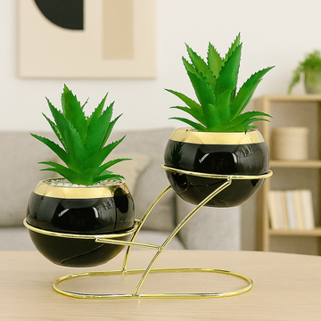 زوج من النباتات الصغيرة