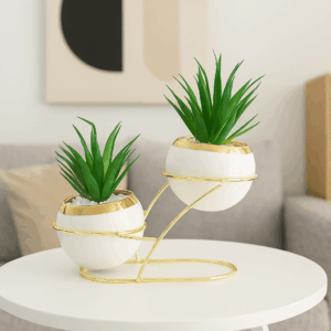 زوج من النباتات الصغيرة